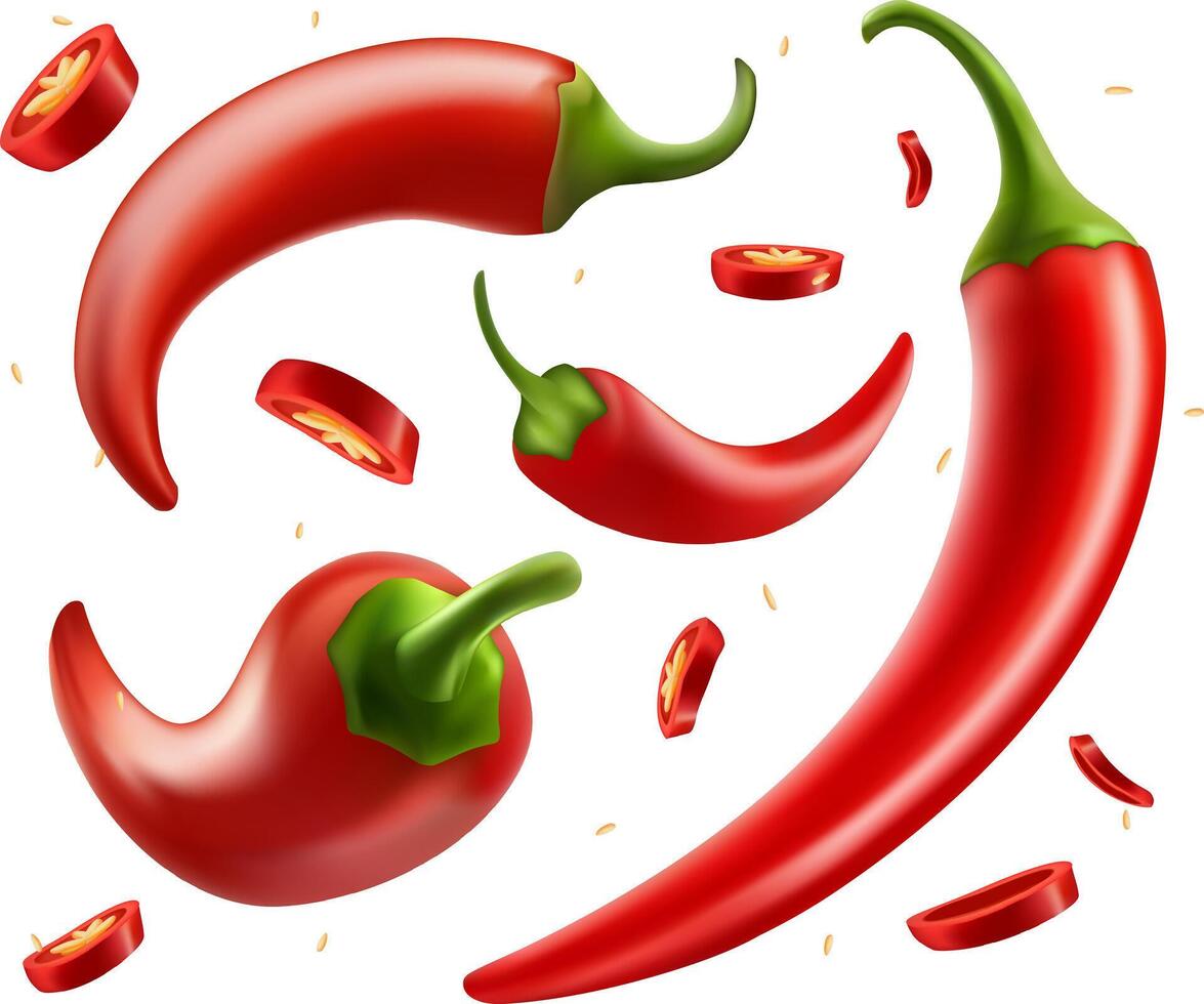 Red chilli pepper in different positions. slice and ring of hot vegetable spice Hot spicy chilli peppers compositions ripe chili on white background. vector