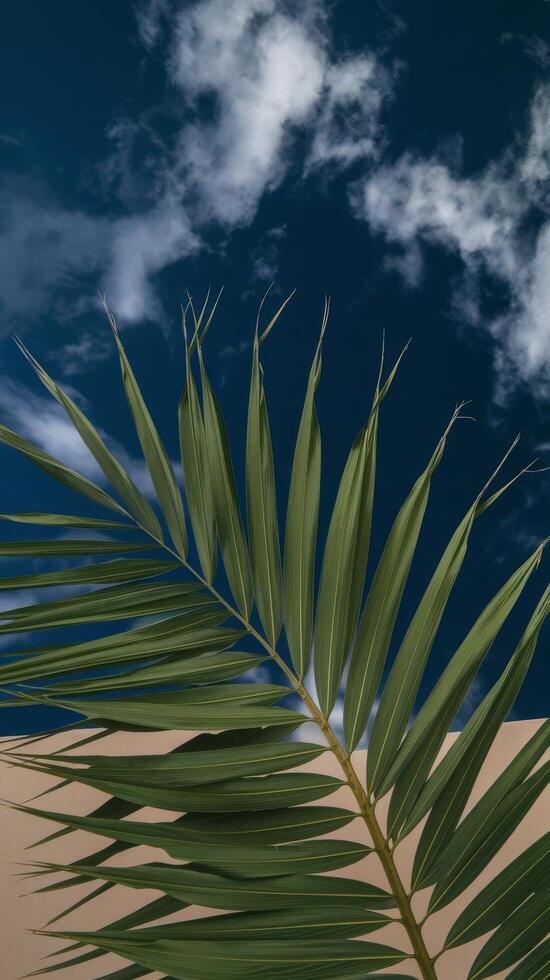 A palm leaf is shown against a blue sky photo
