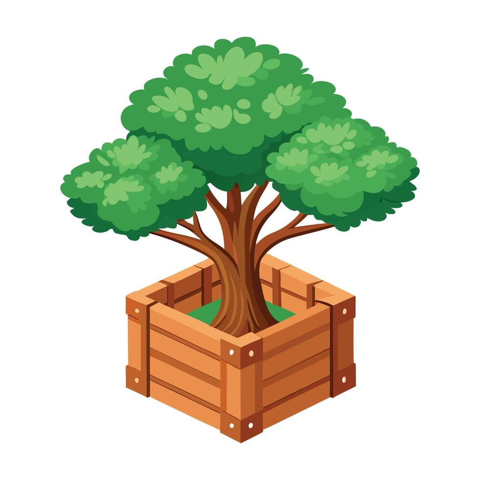 Bonsai tree in a wooden box with green leaves isolated on a white background vector