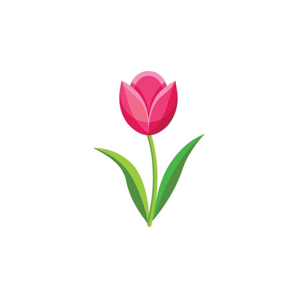 A gentle and dreamy pink tulip with a serene touch. vector