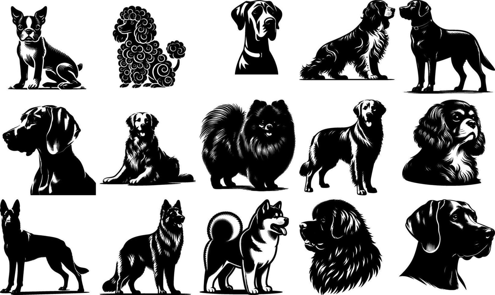 A set of black Dog Breed Silhouette Collection vector