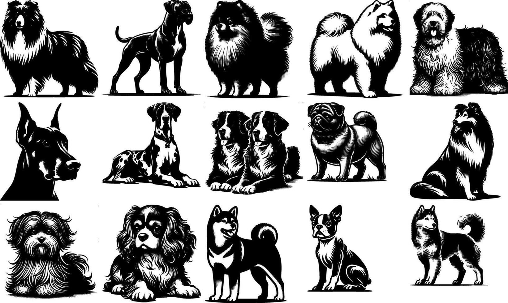 A set of black Collection of Black Dog Breed Outlines vector