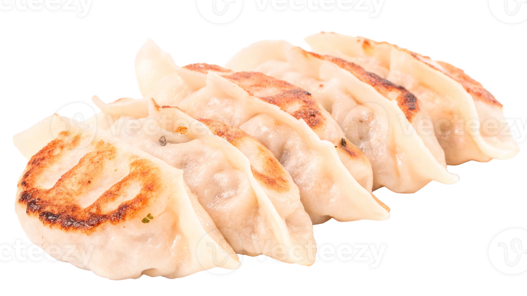 Close-up of gyoza dumplings, pan-fried and crispy, isolated on a transparent background png