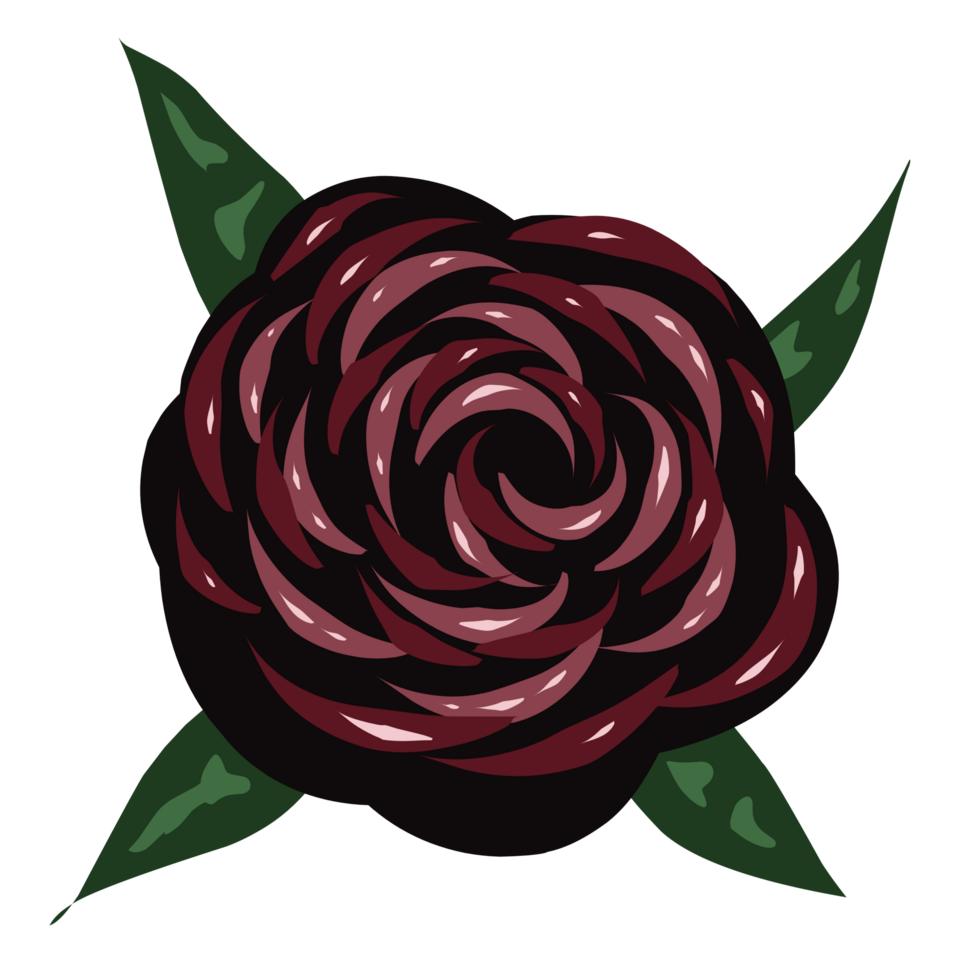 Dark red rose illustration png