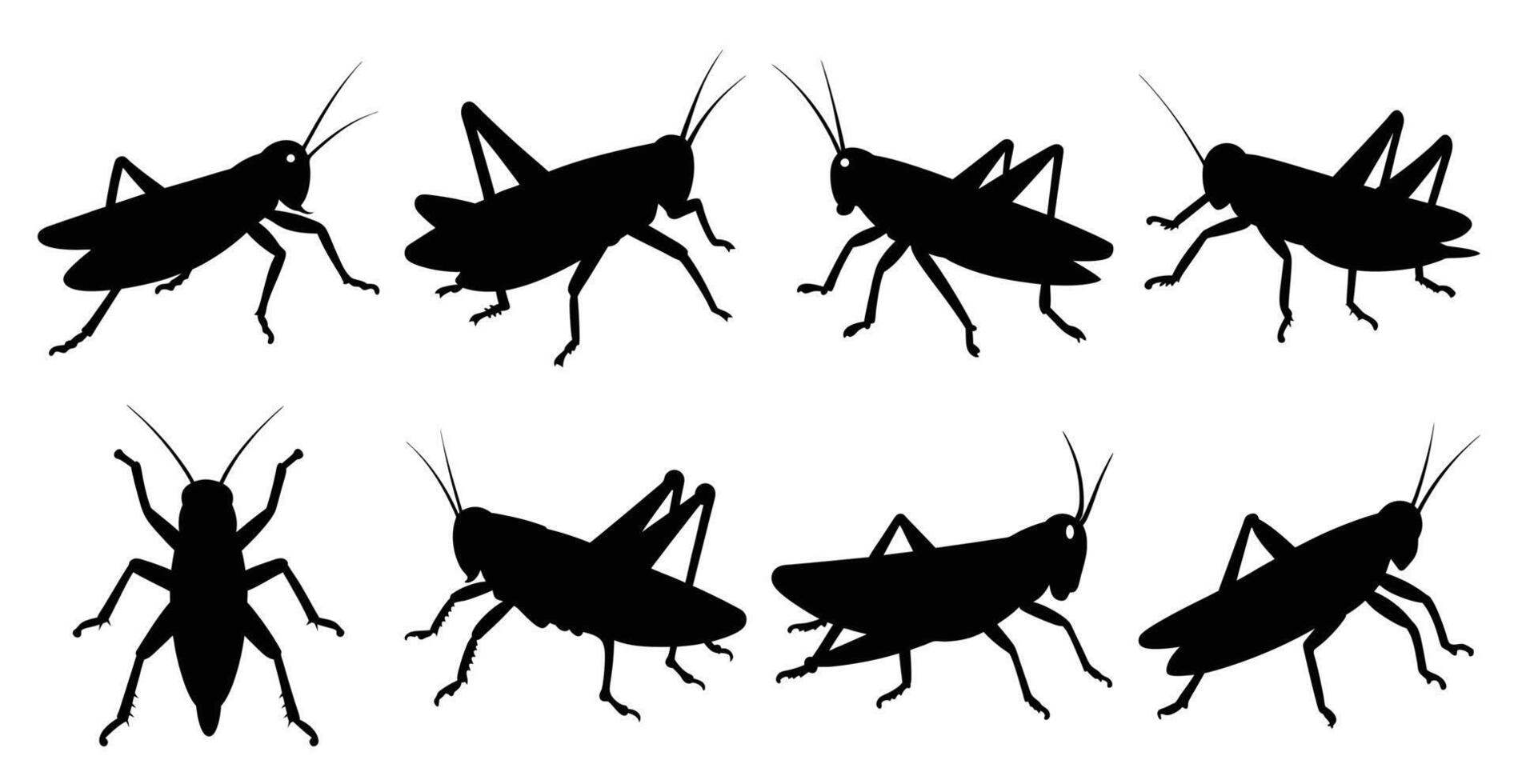 Grasshopper Silhouette Bundle for Insect and Wildlife Designs vector