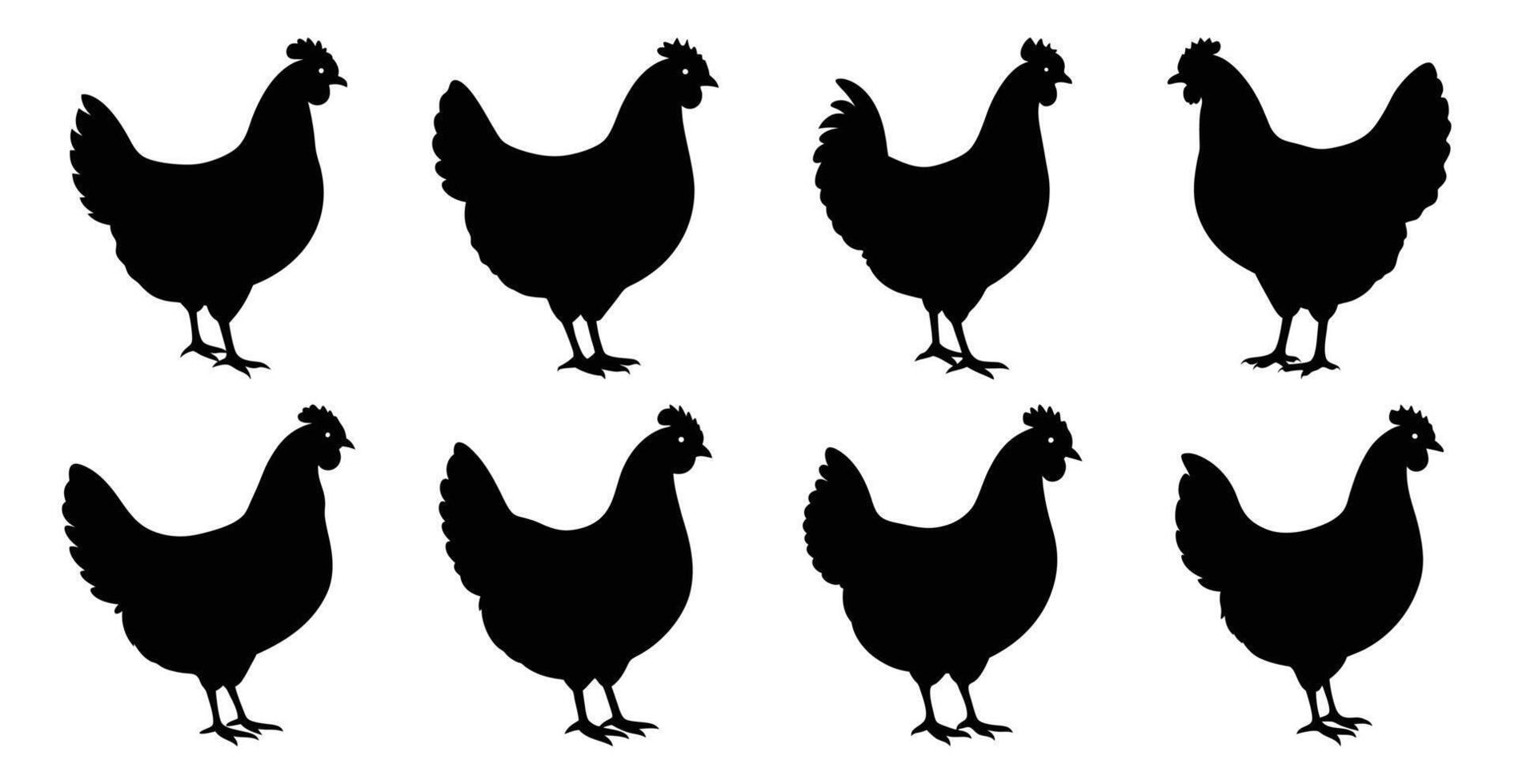 Chicken Hen Silhouette Bundle for Wildlife and Farm Animal Design vector