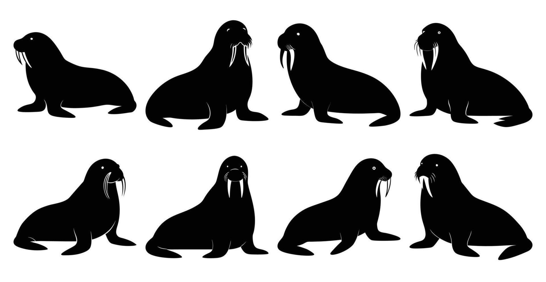 Walrus Silhouette Bundle for Aquatic and Wildlife Designs vector
