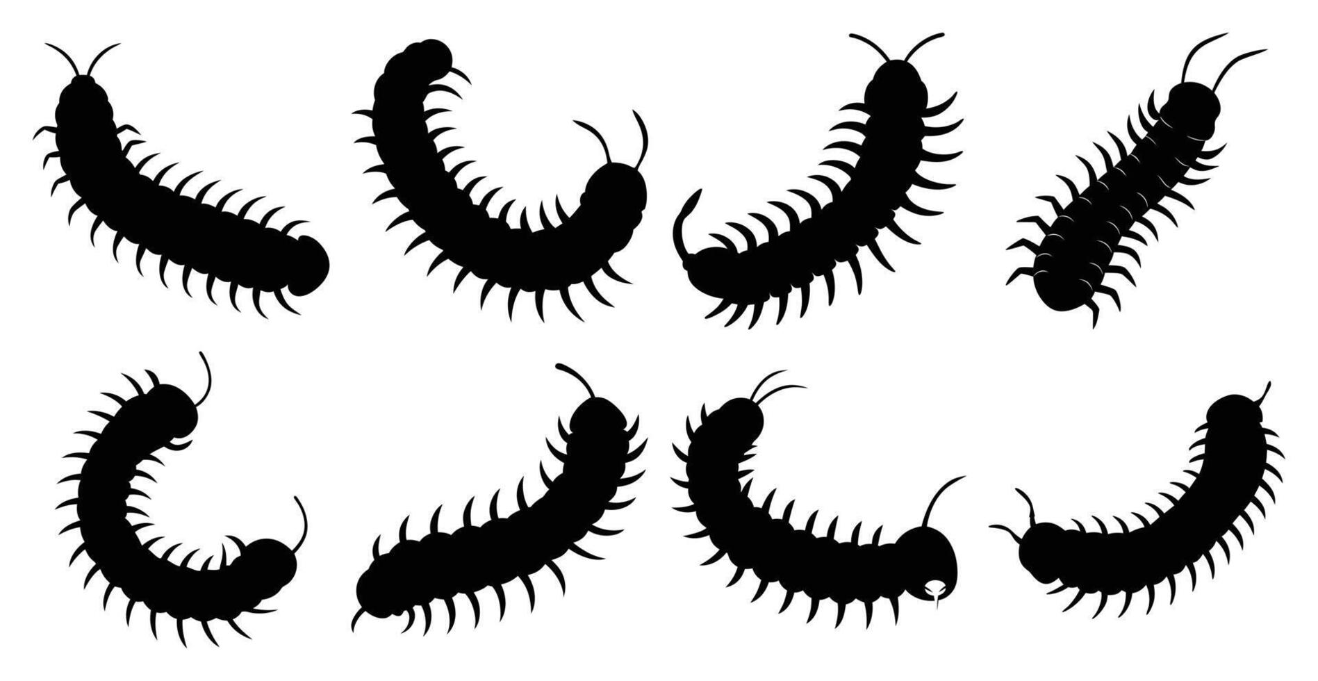 Centipede Silhouette Bundle for Wildlife and Insect Design vector