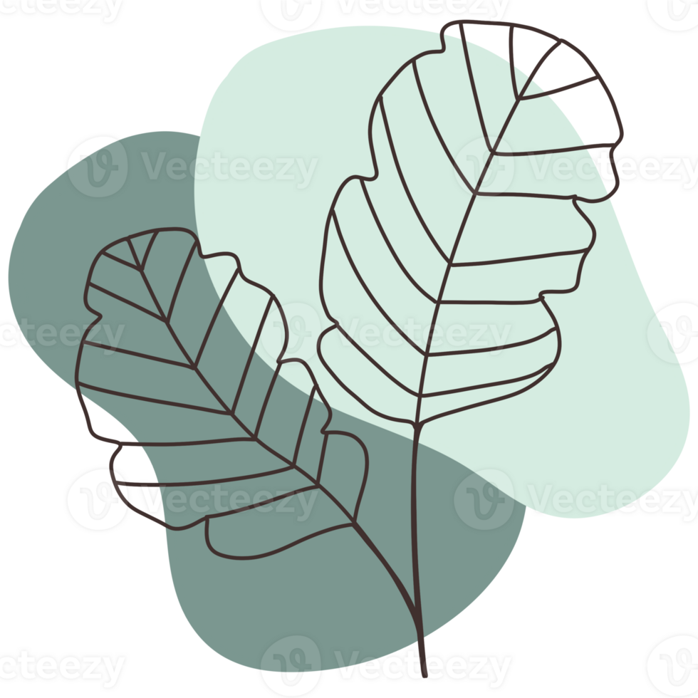 Leaf images with a simple and clean design. It focuses on two stylish leaves against a soft, neutral backdrop. png