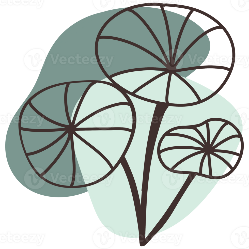 Three round leaves, each with a delicate line drawing pattern. The leaves are rendered in different sizes. The lines are dark and crisp against a soft, neutral background. png