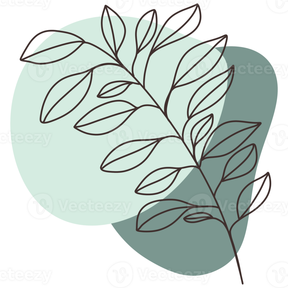 This image features a delicate line drawing of a leafy branch against a two-tone background. png