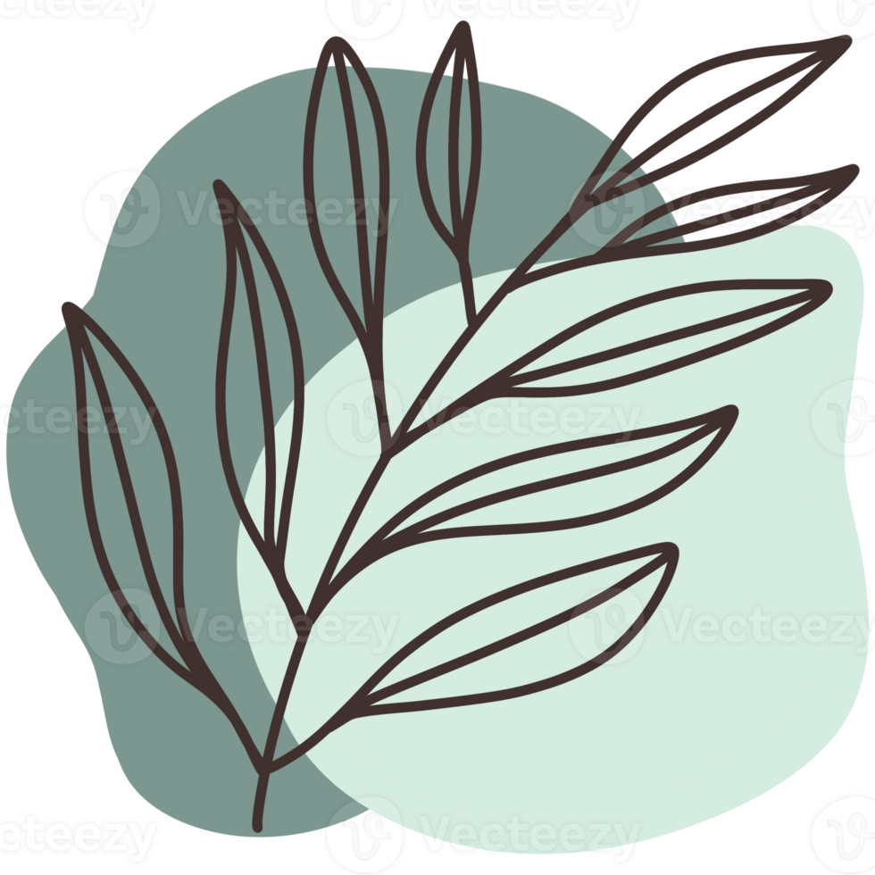 A branch with slender leaves is the main feature of the image. The background features two light green watercolor stains. which have different shapes and sizes. png