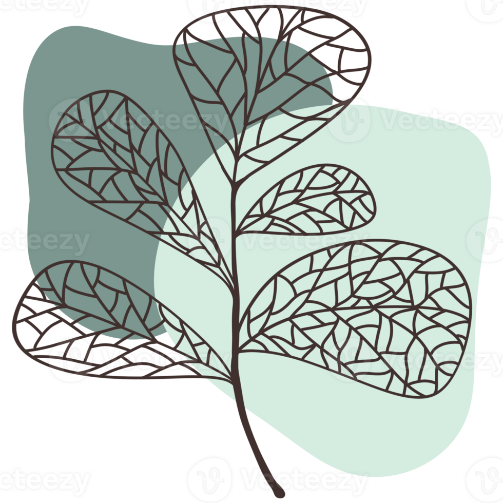 The branches have many slender leaves. Each leaf has a complex and beautiful line pattern. The background features two blue-green watercolor stains. Which have different shapes and sizes. png