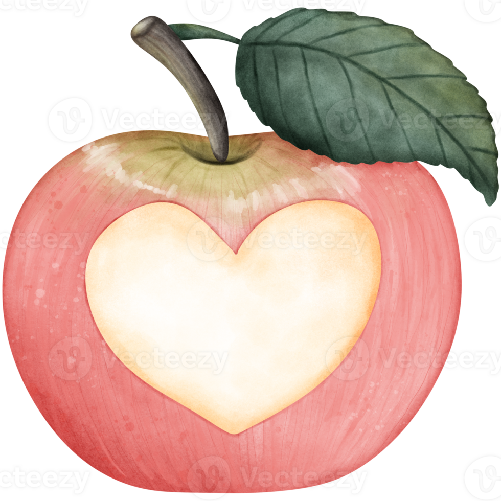 Watercolor illustration of an apple with a heart shape The apple is light pink and has green leaves on top. The heart-shaped hole is in the middle of the apple and is light yellow. png