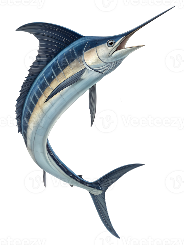 A marlin in mid-air, captured in an elegant curved arc with its tail flicking behind png