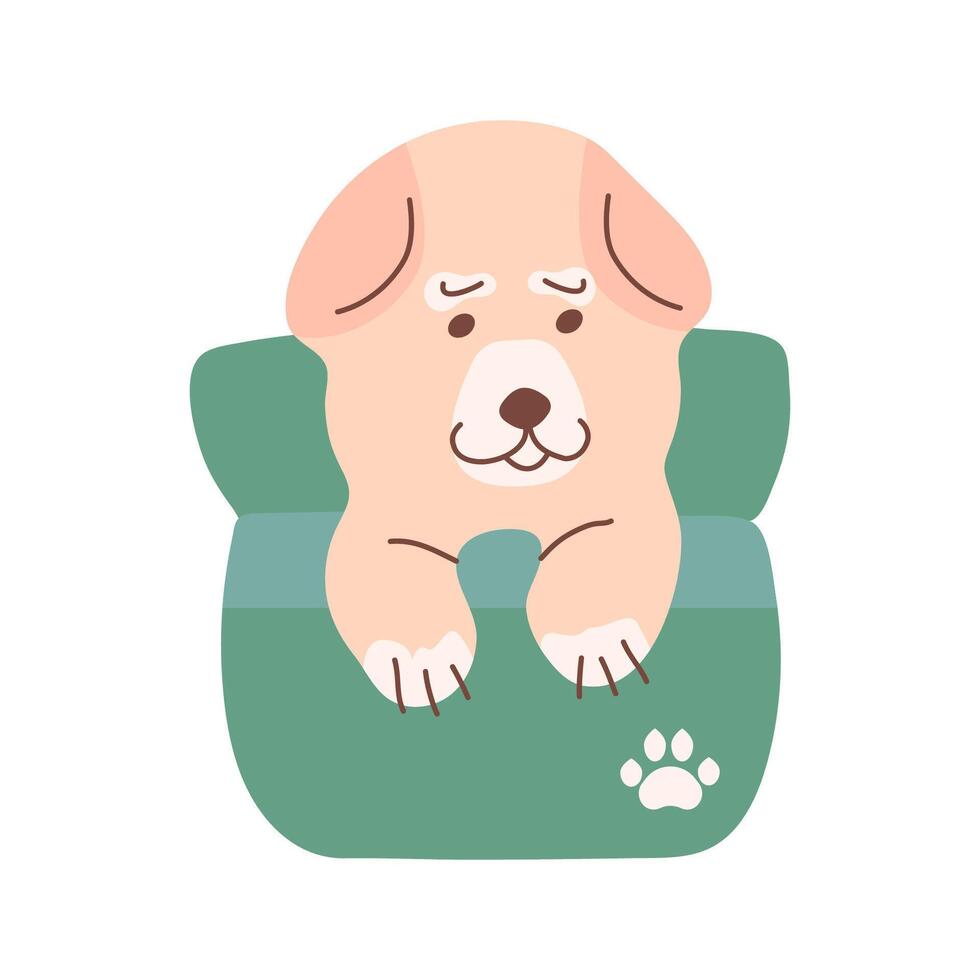 A purebred Samoyed puppy sits in a basket and smiles. Cute illustration of a pet dog. Packaging design of dog products, stickers, and postcards. vector