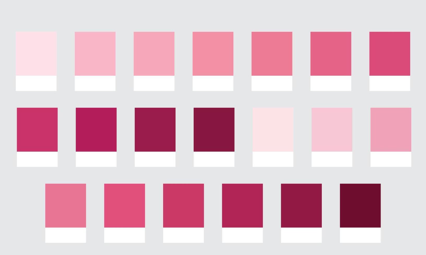 Color Palettes 20 Shades of Pink - Rose, Blush, Magenta, Dusty Colors - with HEX Codes and Names, Colour Swatches and Combinations vector