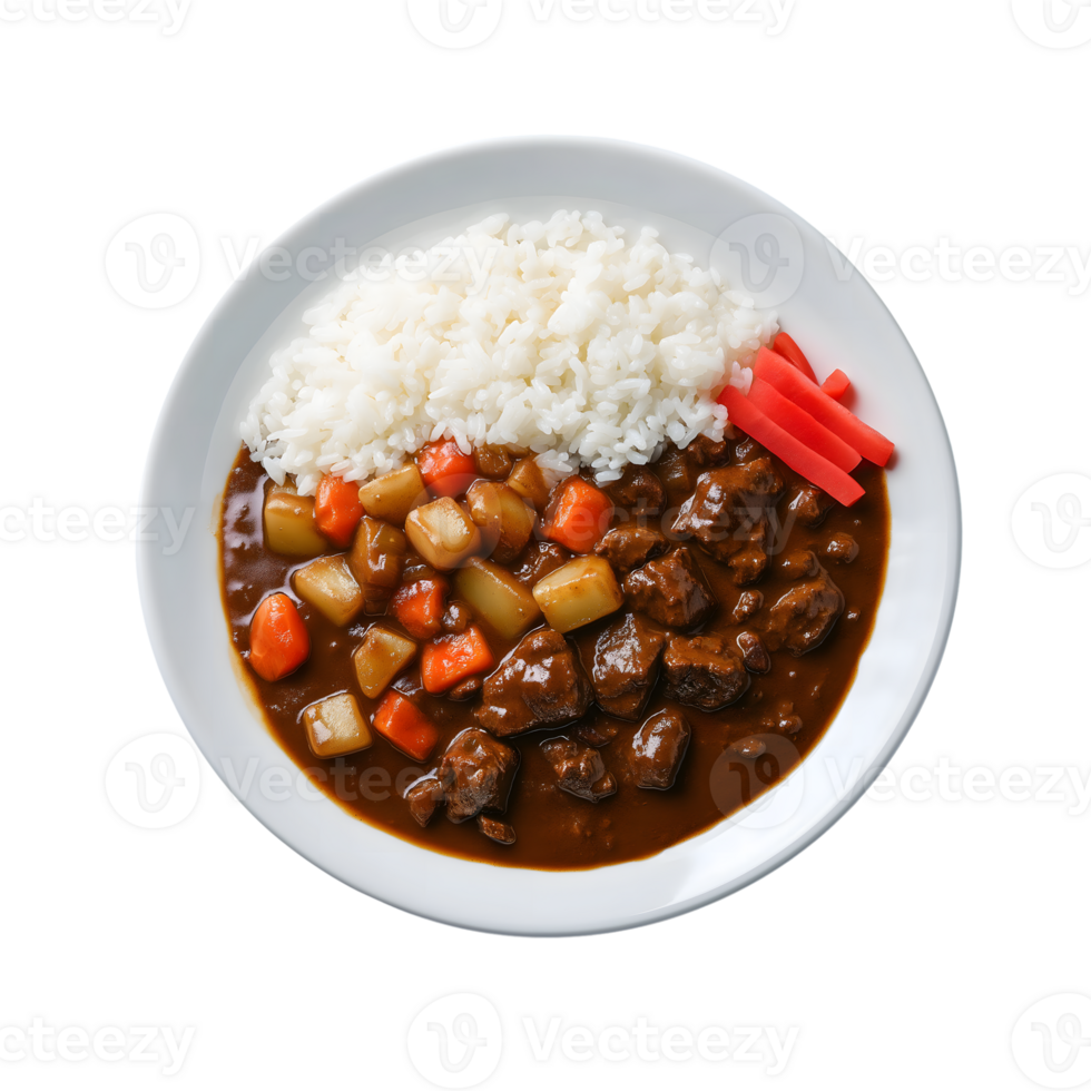 A plate of curry with rice and vegetables png