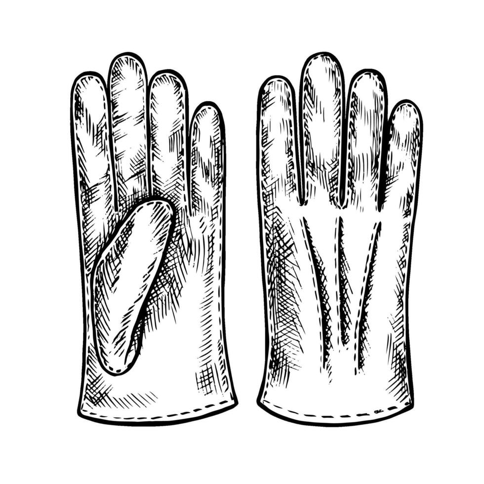 Vintage men s gloves. A hand-drawn graphic illustration. Black and white image of a leather accessory. Separate from the background. Perfect for posters, postcards and banners, flyers, packages vector