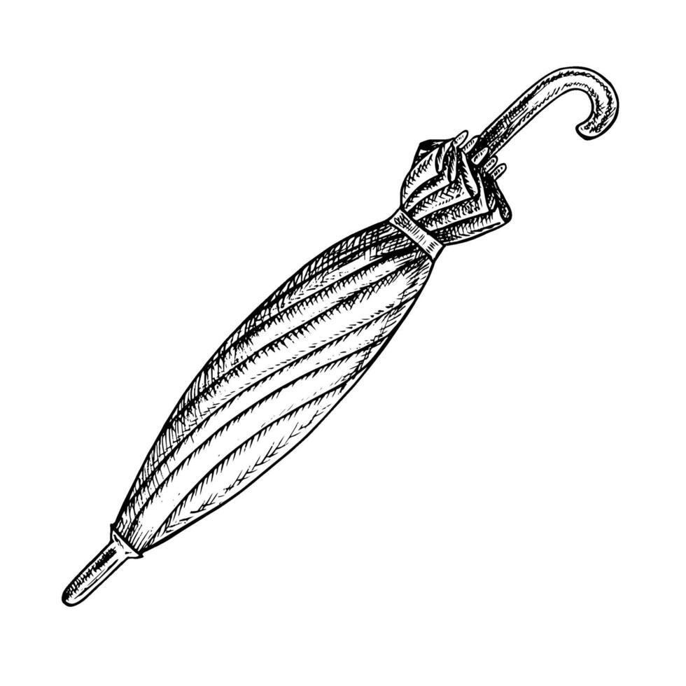 Blue umbrella cane. A hand-drawn graphic illustration. Black and white image of a vintage accessory. Separate from the background. For posters, postcards and banners, flyers, packages and label vector