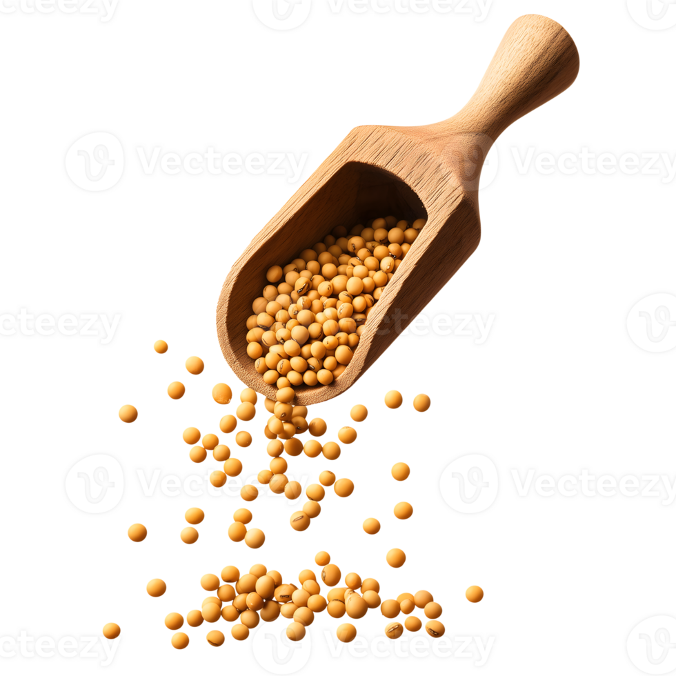 Soybeans in a scoop png