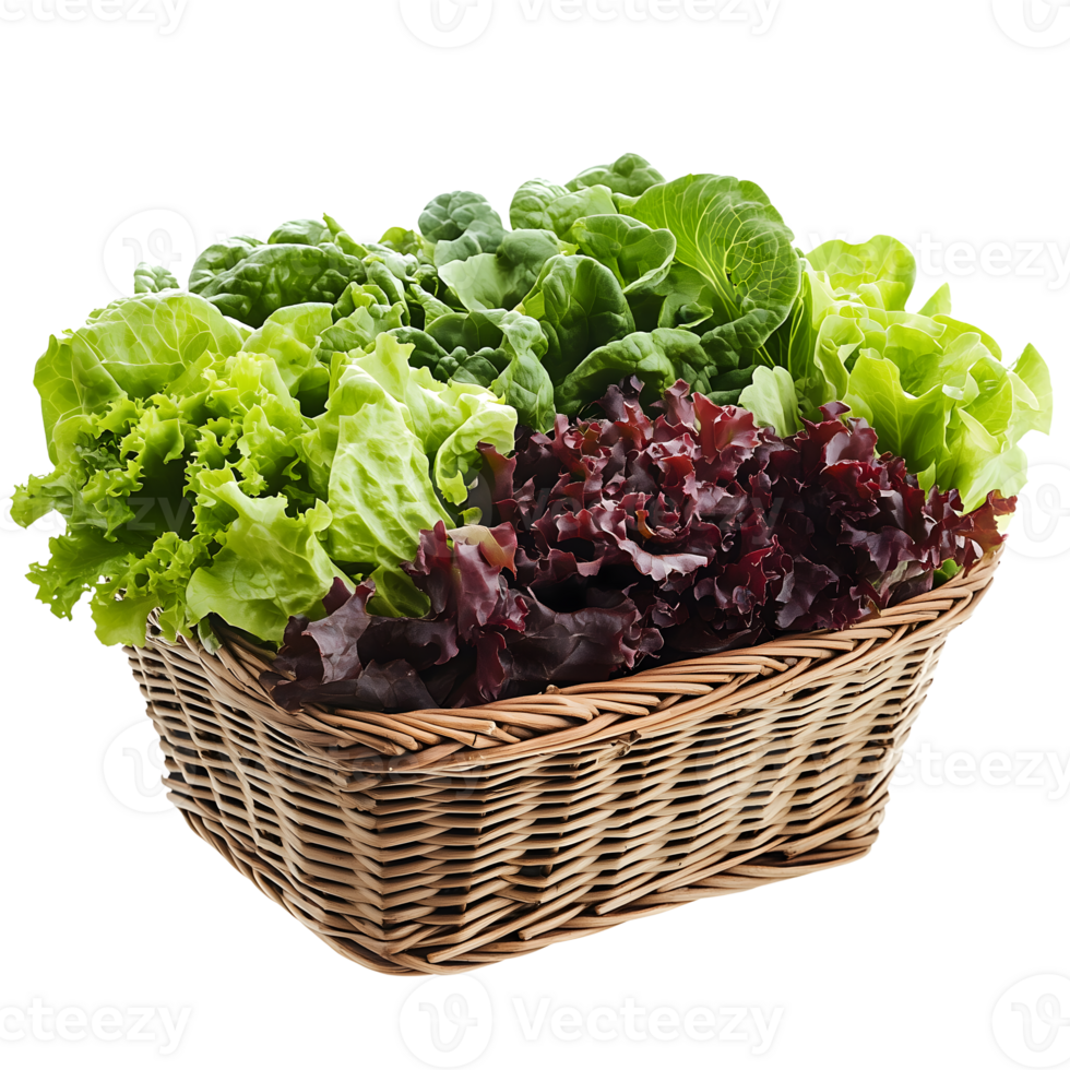 A basket filled with lettuce and other greens png