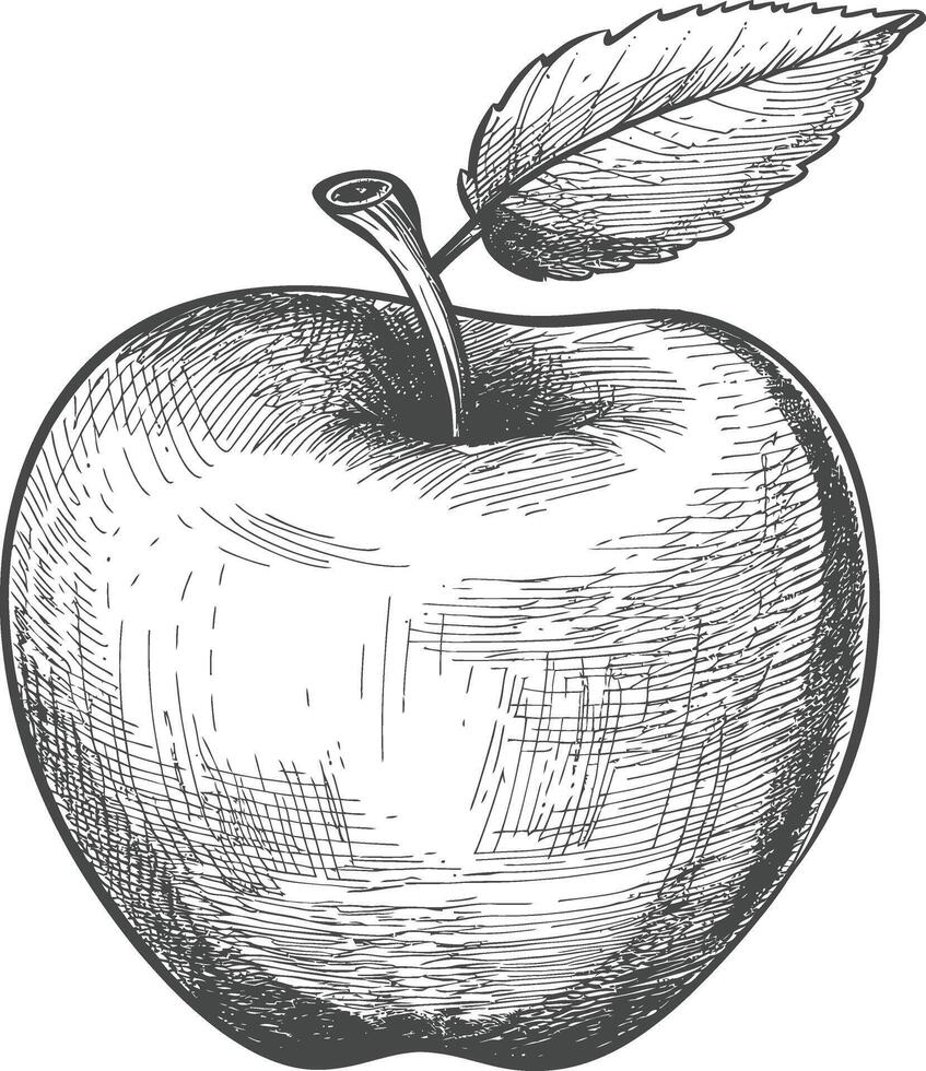 Hand Drawn Illustration Of A Whole Red Apple With A Leaf vector