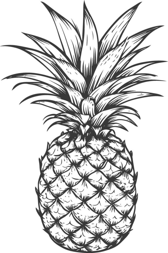 Hand Drawn Illustration Of A Whole Pineapple With Detailed Spiky Leaves And A Detailed Skin vector