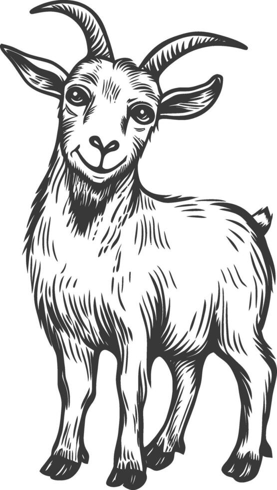 Hand Drawn Illustration Of A Standing Goat With Curved Horns vector