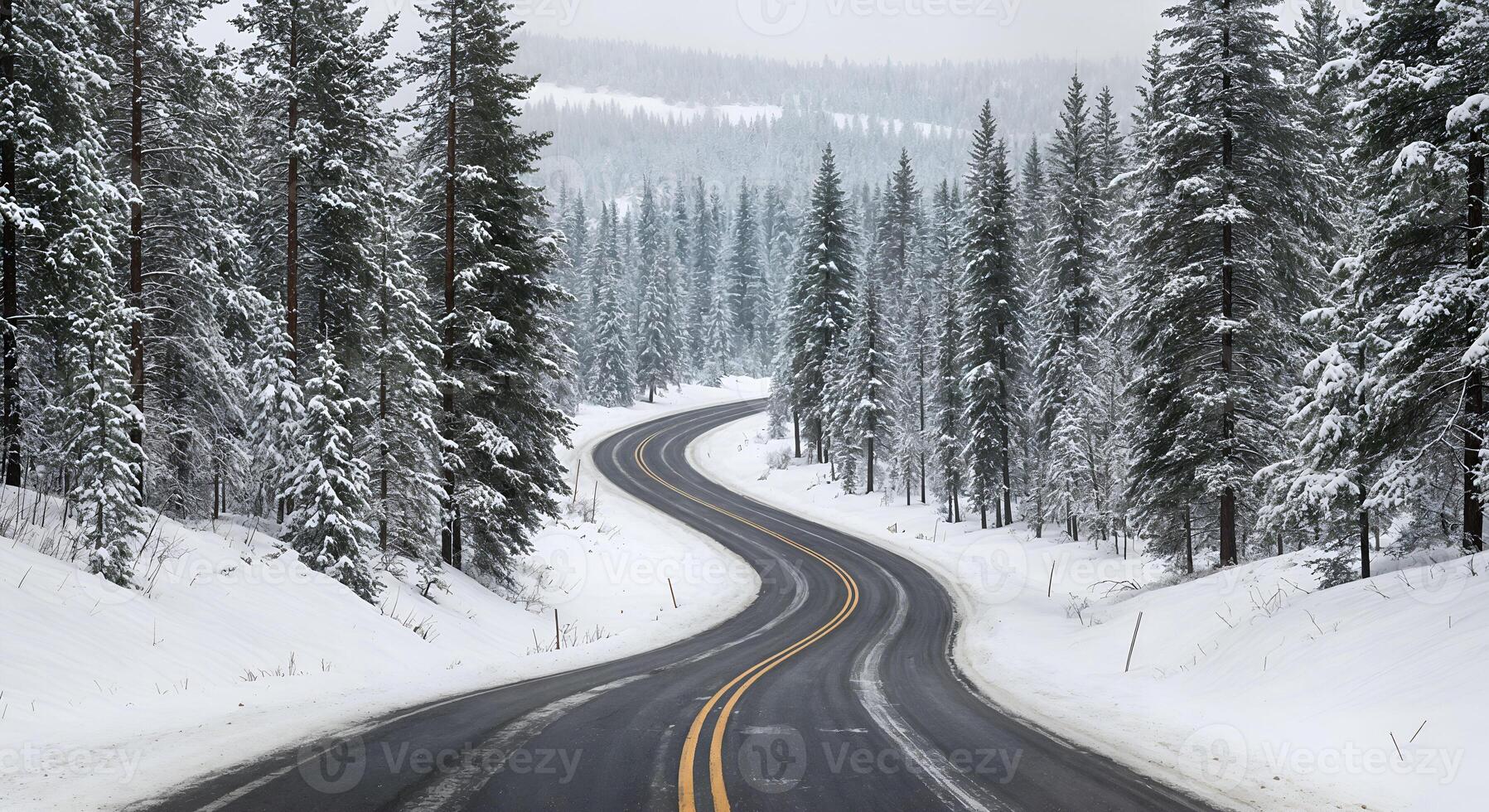 Scenic Winter Road Winding Through Snowy Pine Forest path cold trees white image drive nature travel photo