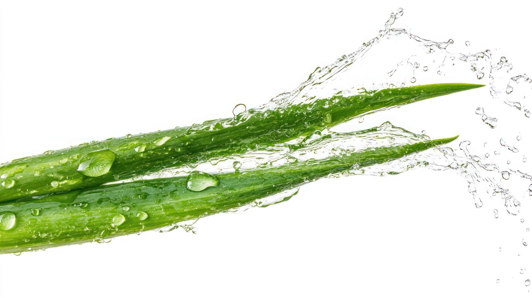 Aloe vera water splash photo