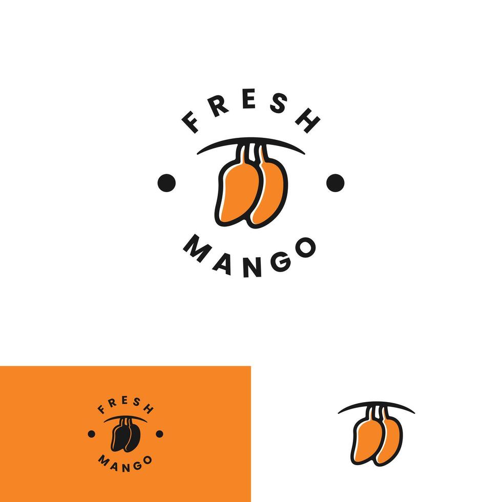 Mango fruit logo. circle logo of mango on isolated background vector