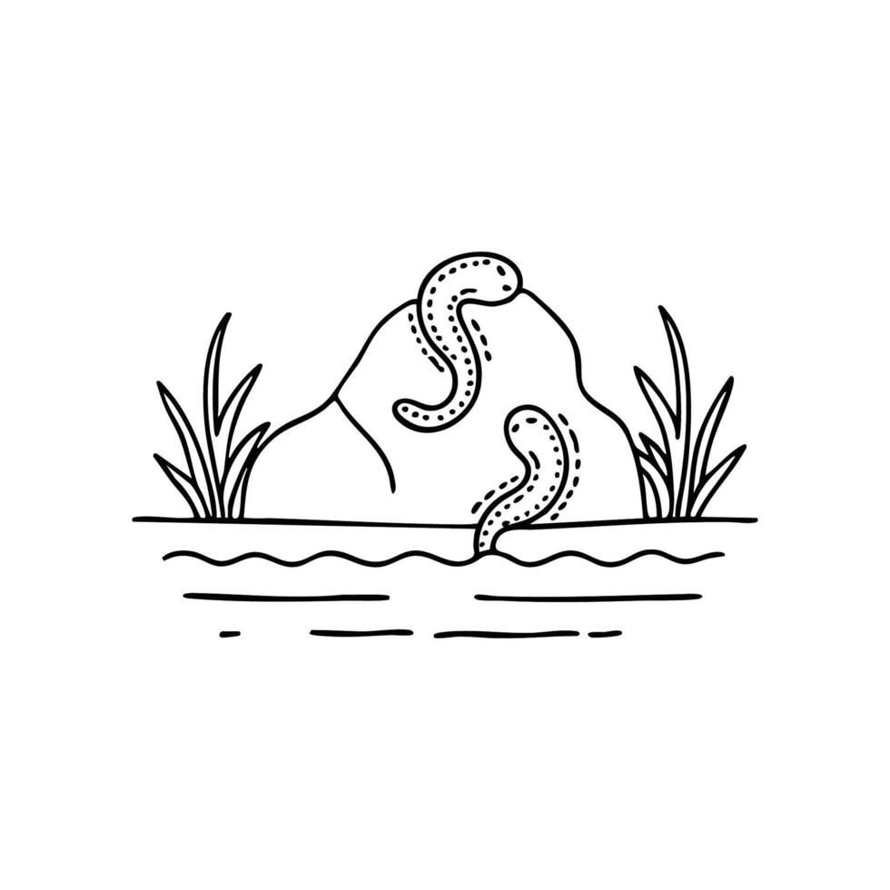 Leech attached to a submerged rock in a shallow river vector