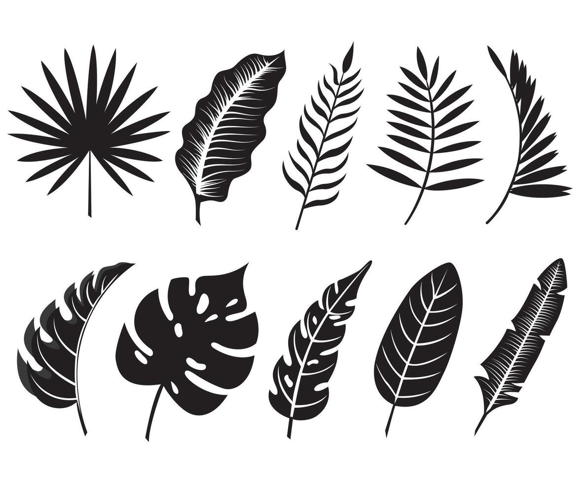 Tropical leaves realistic leaf silhouette collection vector