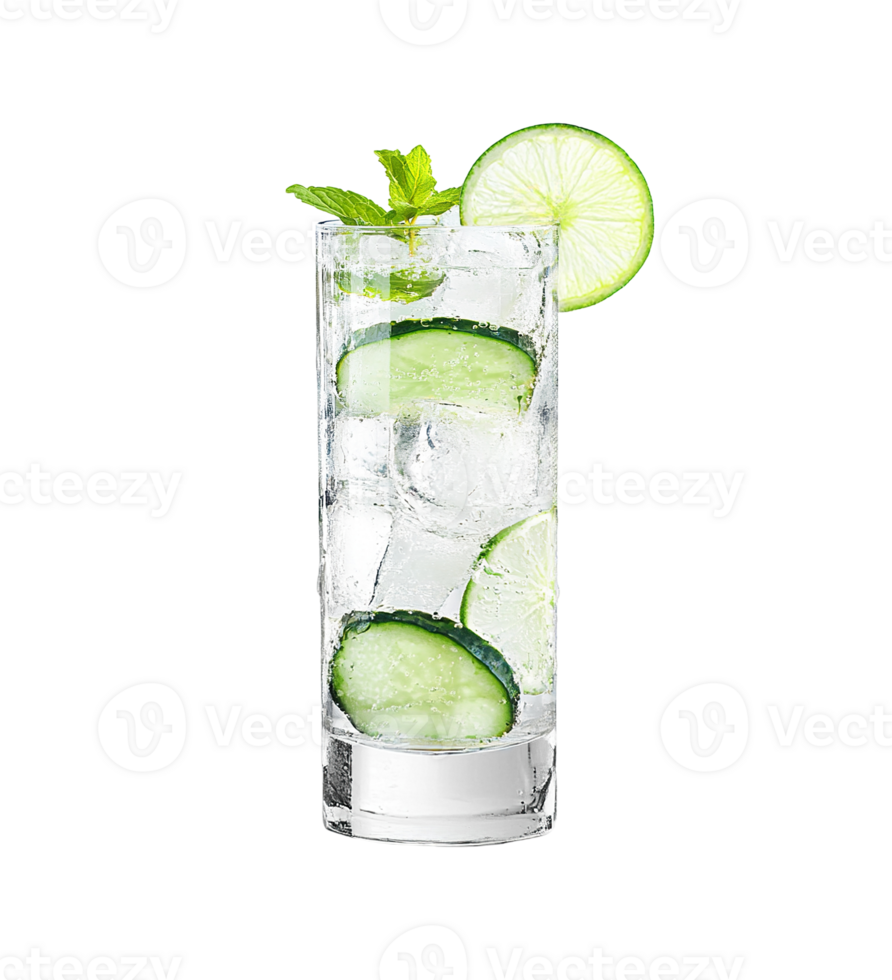 Gin and Tonic cocktail with lime wheel garnish transparent isolated background. Mixology, bar menu, colorful vibrant refreshing drink in highball glass png