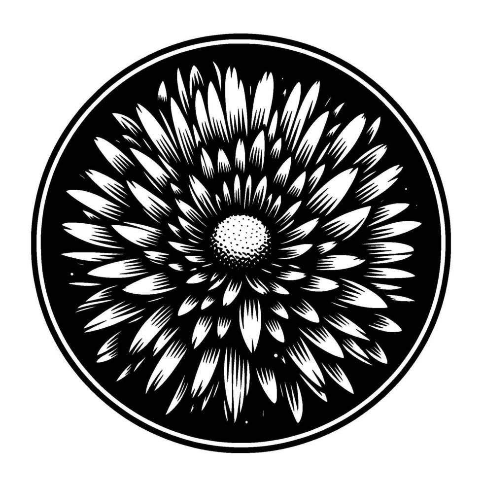Monochromatic, Circular Illustration of a Detailed Daisylike Flower in a Black Circle, Engraved Style. vector