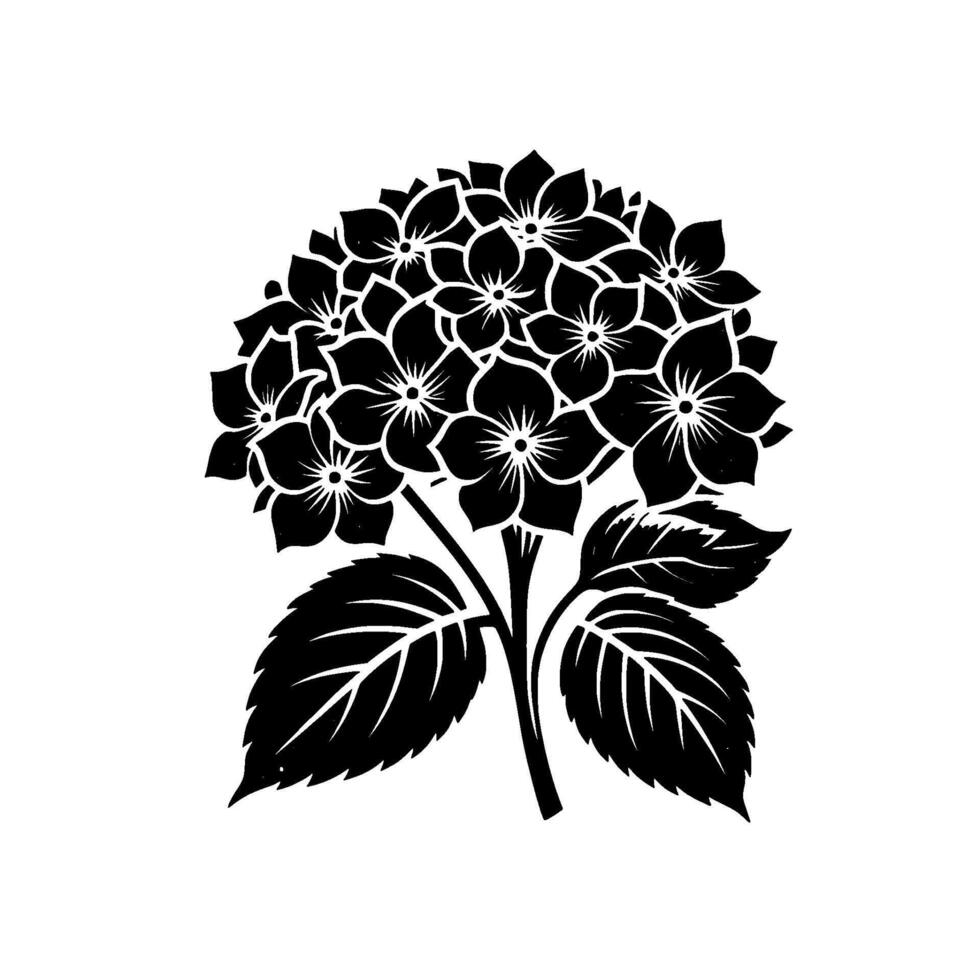 Intricate Black and White Hydrangea Illustration, Stylized Floral on a Clean White Background, Artistic Botanical Print. vector