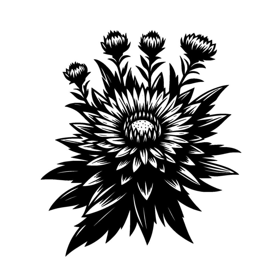 Bold Black and White Floral Illustration A Layered Dahlia with Accent ThistleLike Buds, Showcasing Textured Details. vector