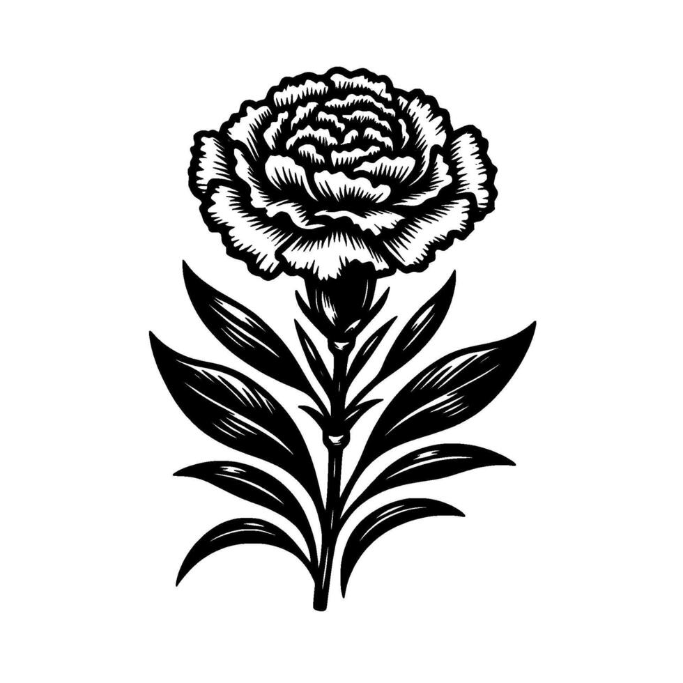 Intricately detailed black and white illustration of a carnation flower, stem, and leaves on a white background, evoking classic botanical art. vector