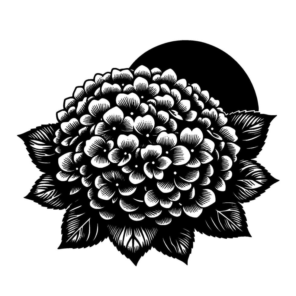 Elegant Black and White Hydrangea Illustration Detailed Floral with a Moon Silhouette, Emphasizing Texture and Botanical Artistry. vector