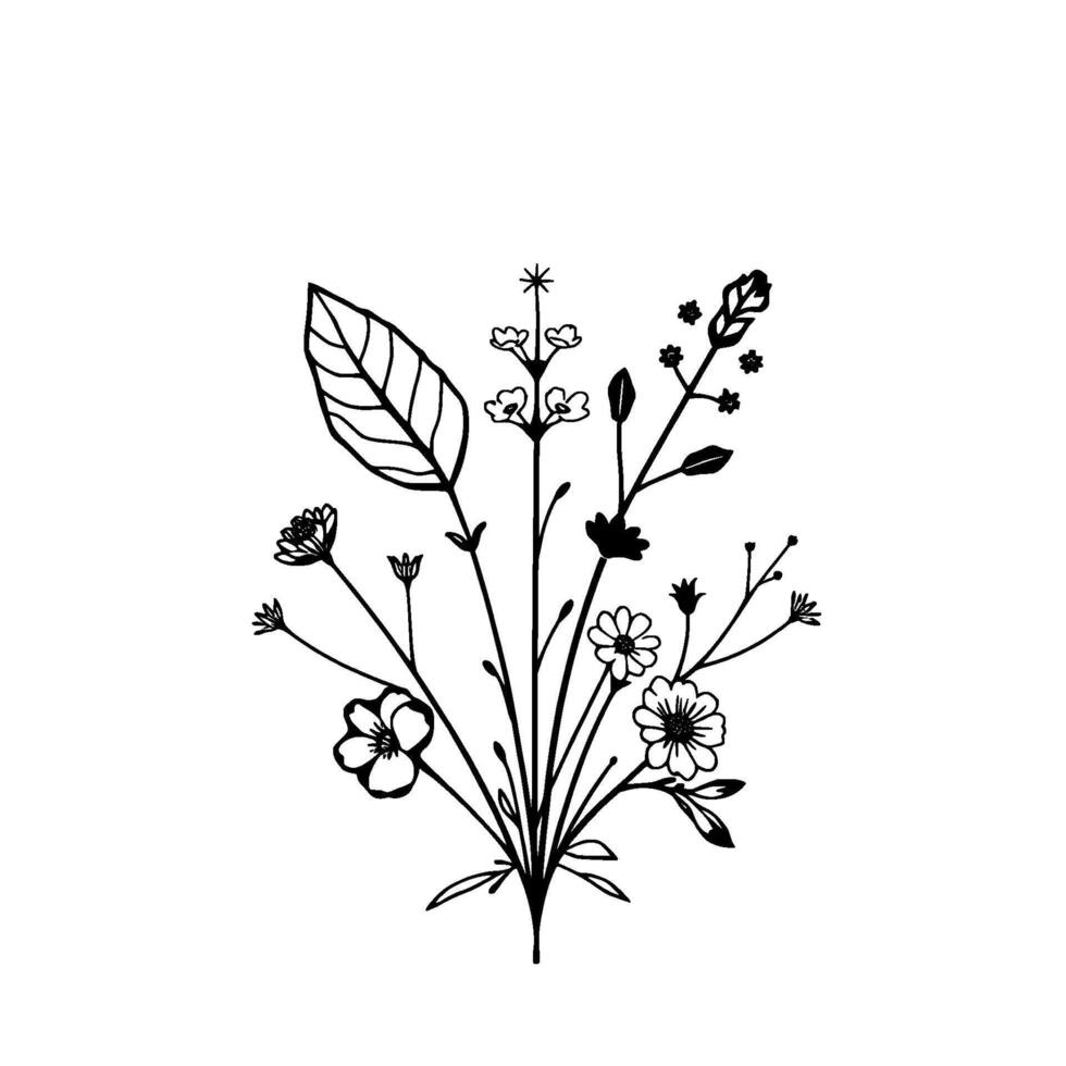 Minimalist Black White Botanical Illustration Delicate Floral Bouquet with Various Blooms and Foliage, on White Background. vector