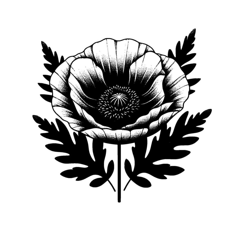 Intricate Black and White Poppy Flower with Detailed Stippling and Surrounding Foliage, Isolated on a Clean Background vector