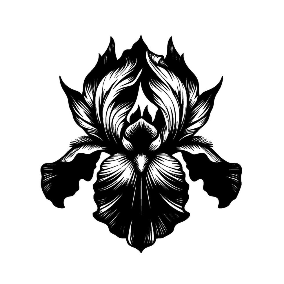 Intricate Black and White Iris Flower Illustration with Detailed Line Work Against a Clean White Background. vector