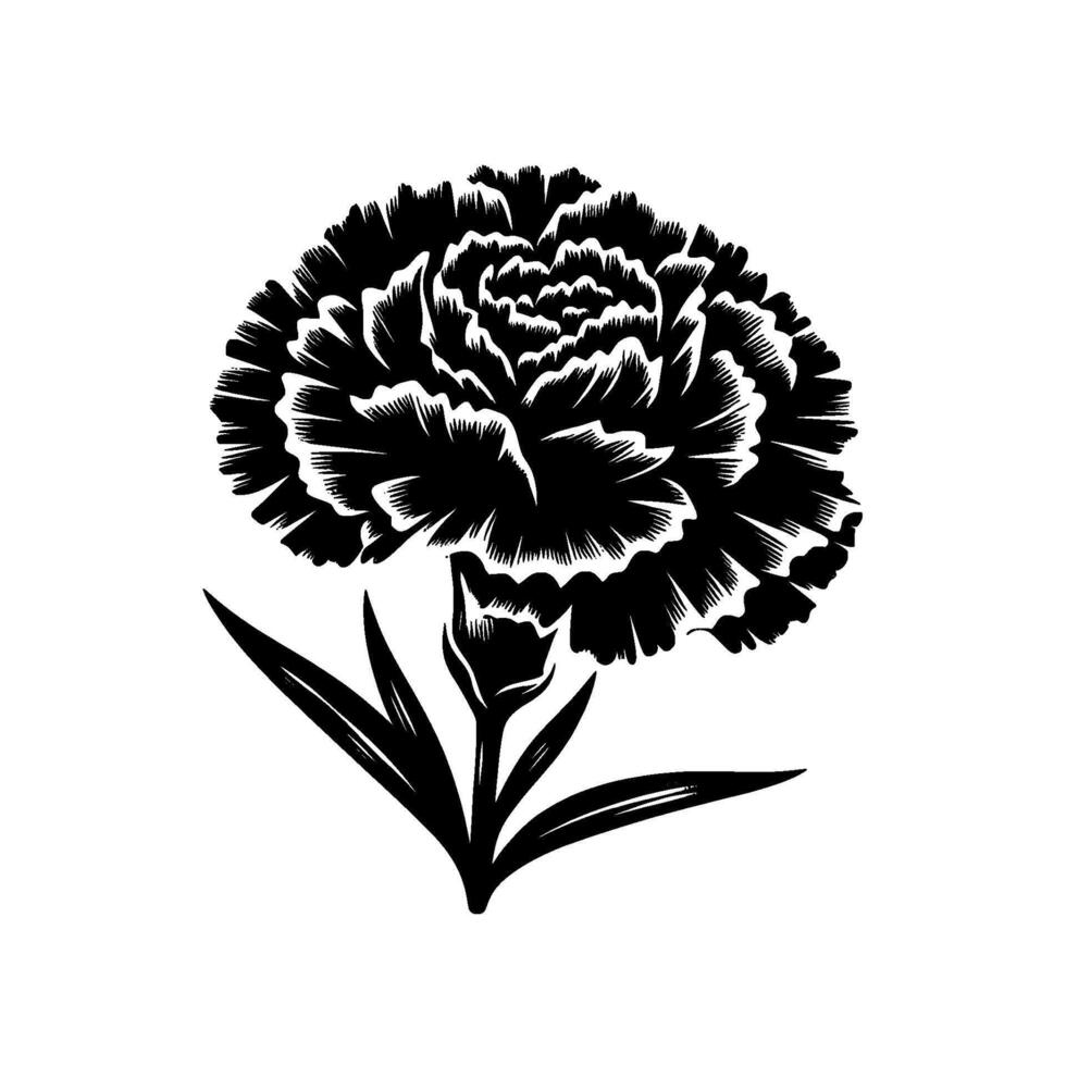 Detailed Black and White Illustration of a Blooming Carnation Flower with Bud and Leaves on a Solid White Background. vector