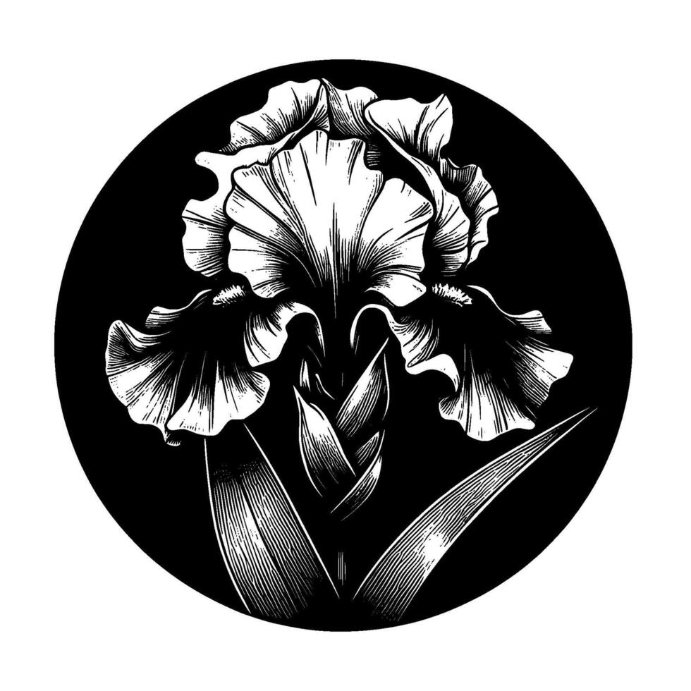 A detailed black and white illustration of an iris flower, centered within a black circle, featuring intricate line work. vector