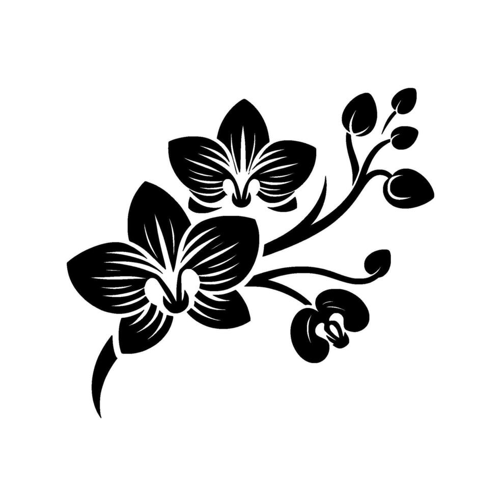 Elegant Black and White Silhouette of Blooming Orchid Flowers with Intricate Vein Detailing, Showing Buds, Stem, and Open Blossoms. vector