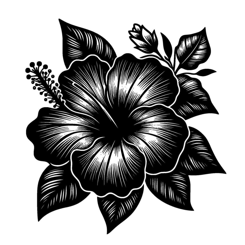 Elegant Monochrome Hibiscus Arrangement with Detailed Linework and Bud, Representing Floral Grace. vector