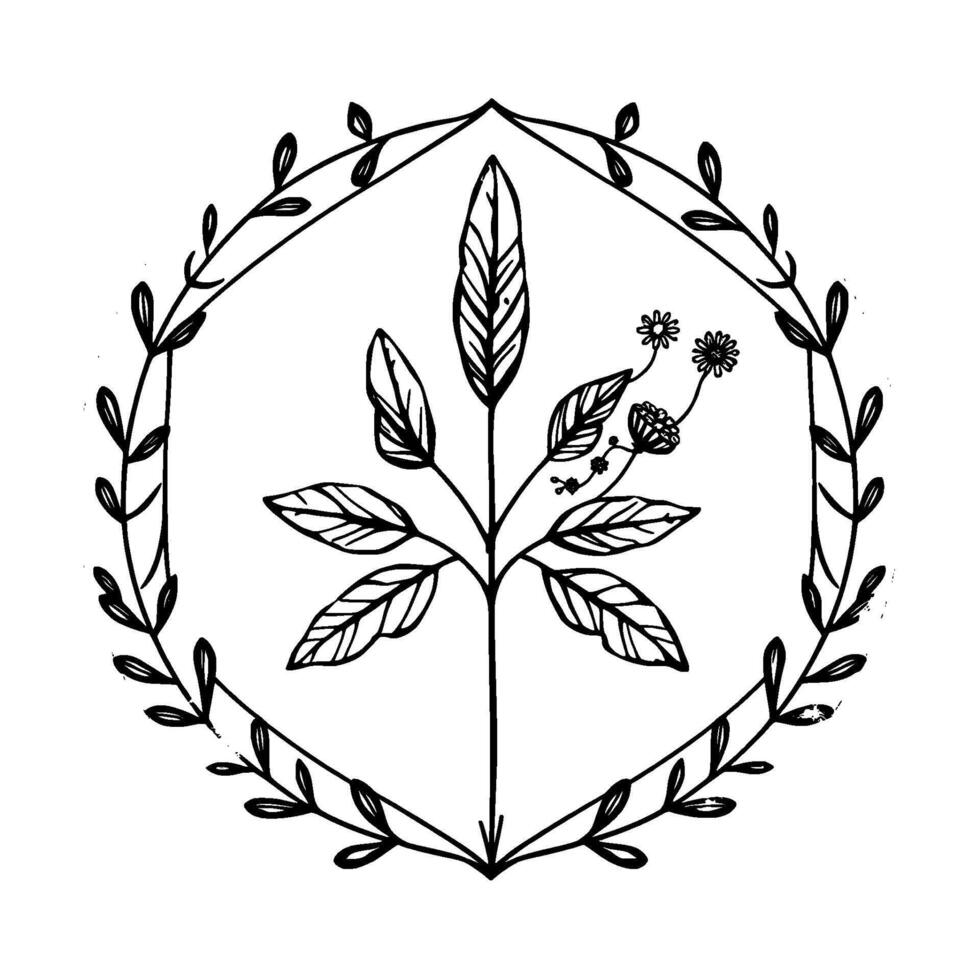 A botanical illustration, featuring a symmetrical, stylized leaf structure with flowers, and encircled within a hexagonalshaped wreath, all rendered in black and white. vector