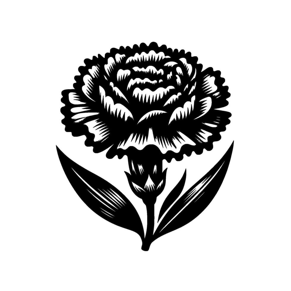 Intricate Black and White Carnation Illustration Detailed Petals, Leaves, and Stem on Isolated White Background, Style Art. vector