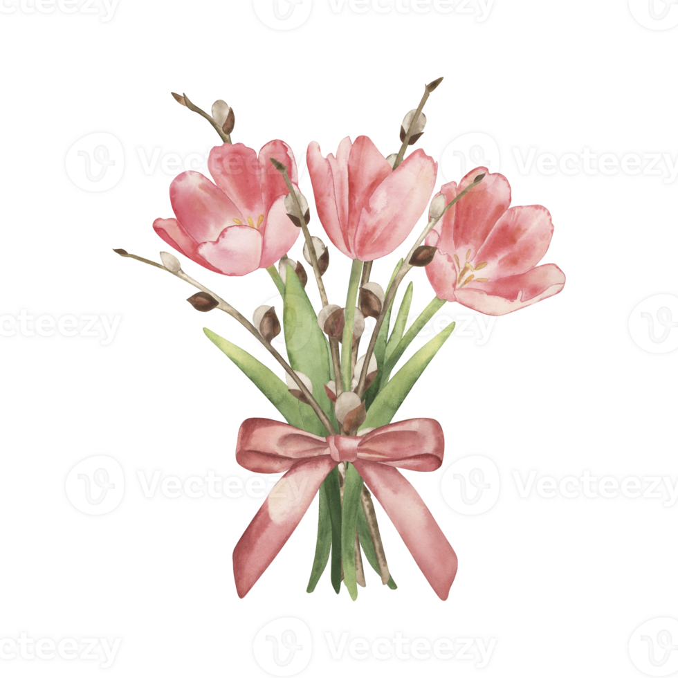 Bouquet of pink tulips and willow tied with a bow. Watercolor illustration with spring Easter flowers is hand-drawn in botanical style. For holiday decoration, cards, invitations, packaging png